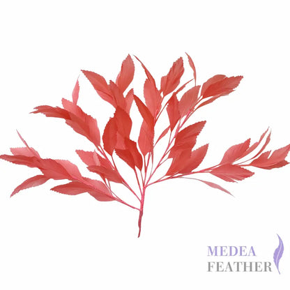 35cm Extra Large Zigzag Goose Feather Tree Mount DS25050K - #27coral pink