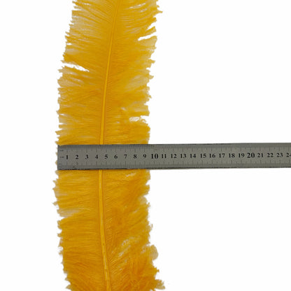 Long Clipped Ostrich Feather Plume 55-60cm