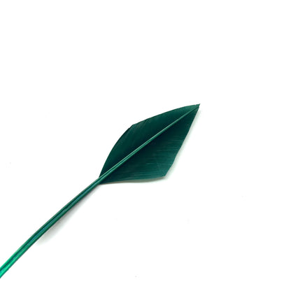 Arrowhead Turkey Quill Feather
