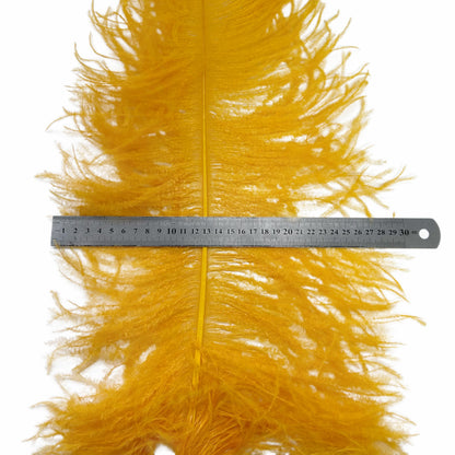 Ostrich Feather Plume 55-60cm