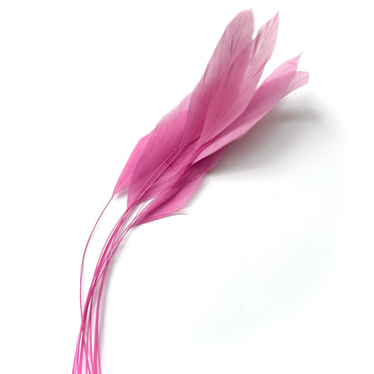 25cm Stripped Coque Feathers - Pack of 10 SFROOSTER01