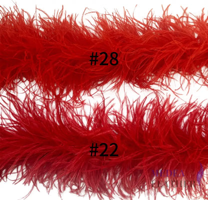 4 Ply Ostrich Feather Fringe Feather Boa (2 yards)