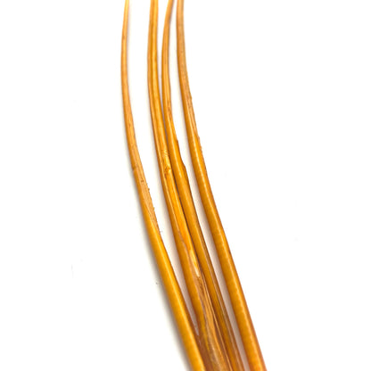 Ostrich Feather Quill -pack of 3 SFOSTRICH01