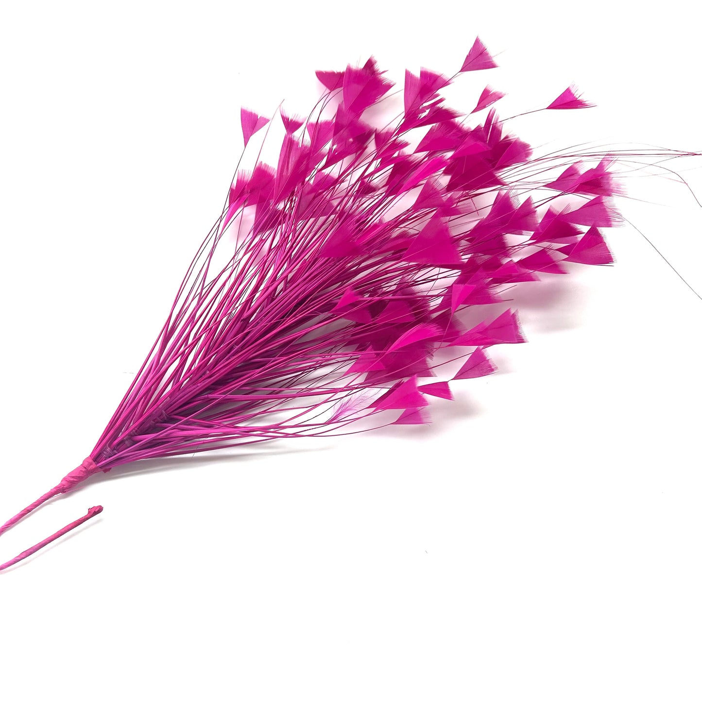Peacock Hair Diamond Tip Mount FM001