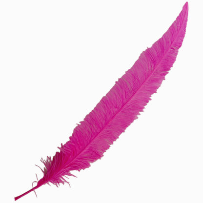 Long Clipped Ostrich Feather Plume 55-60cm