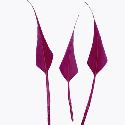 Spiky Hard Goose Feather-Pack of 20