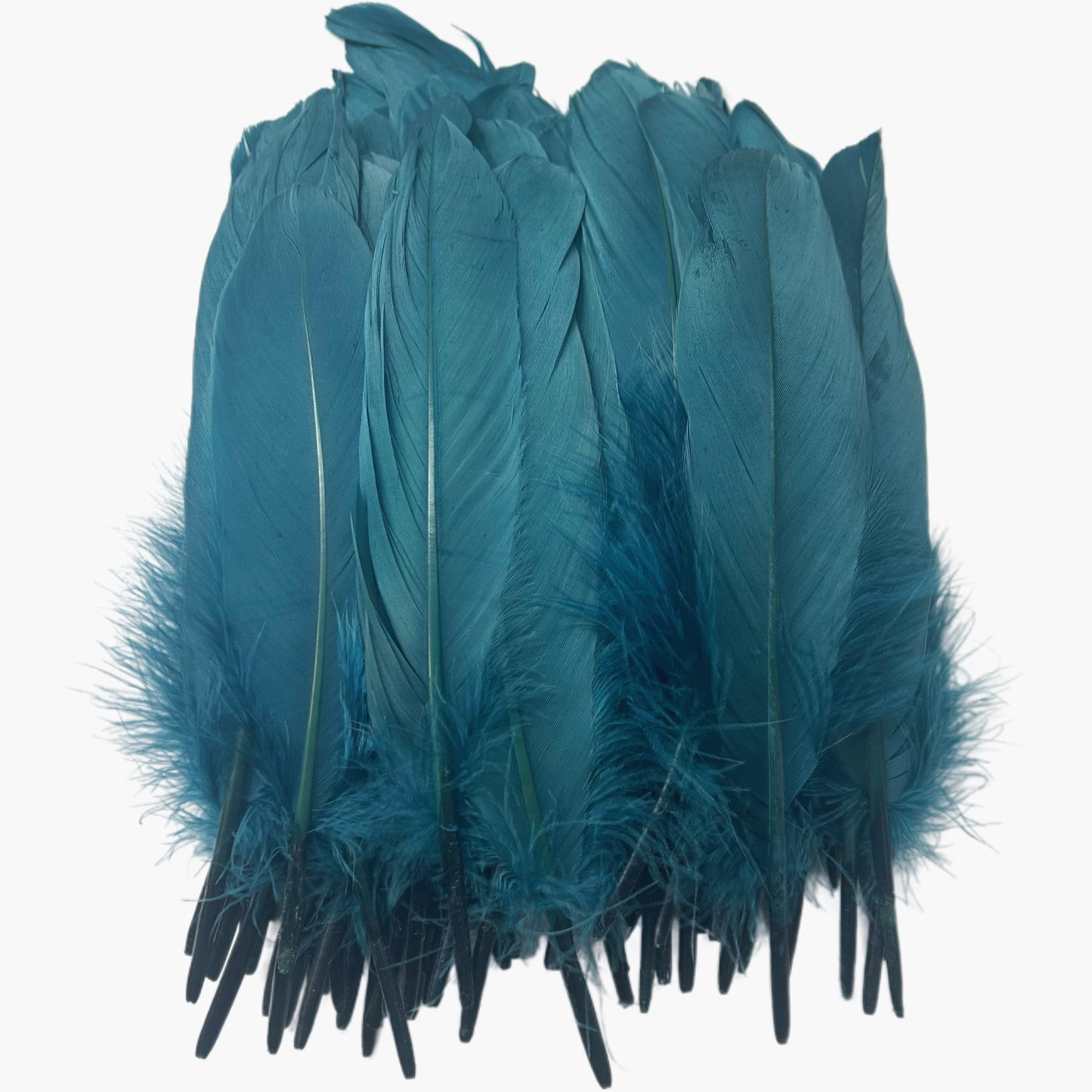 Hard Goose Feather-Pack of 50 SFGOOSE02