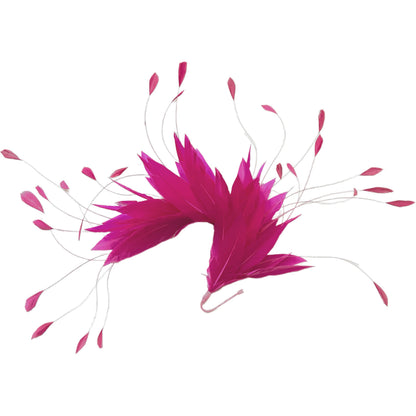 Goose and Coque Feather Mount FM304