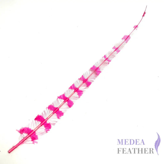 50cm Burnt Stripped Ostrich Feather Pink