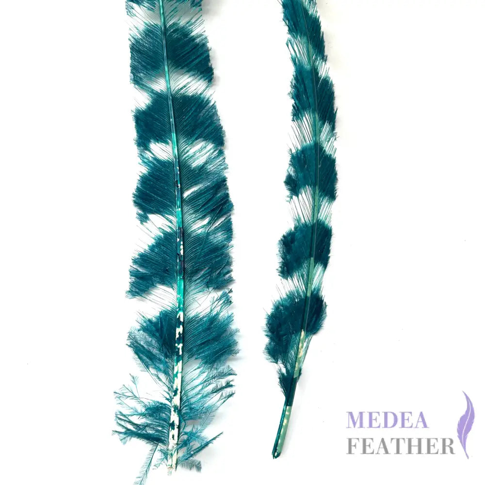 50cm Burnt Stripped Ostrich Feather SF017