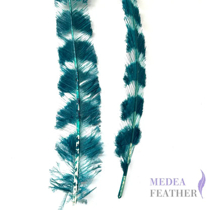 50cm Burnt Stripped Ostrich Feather SF017