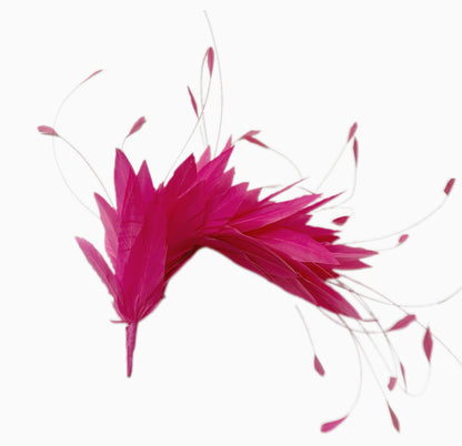 Goose and Coque Feather Mount FM304