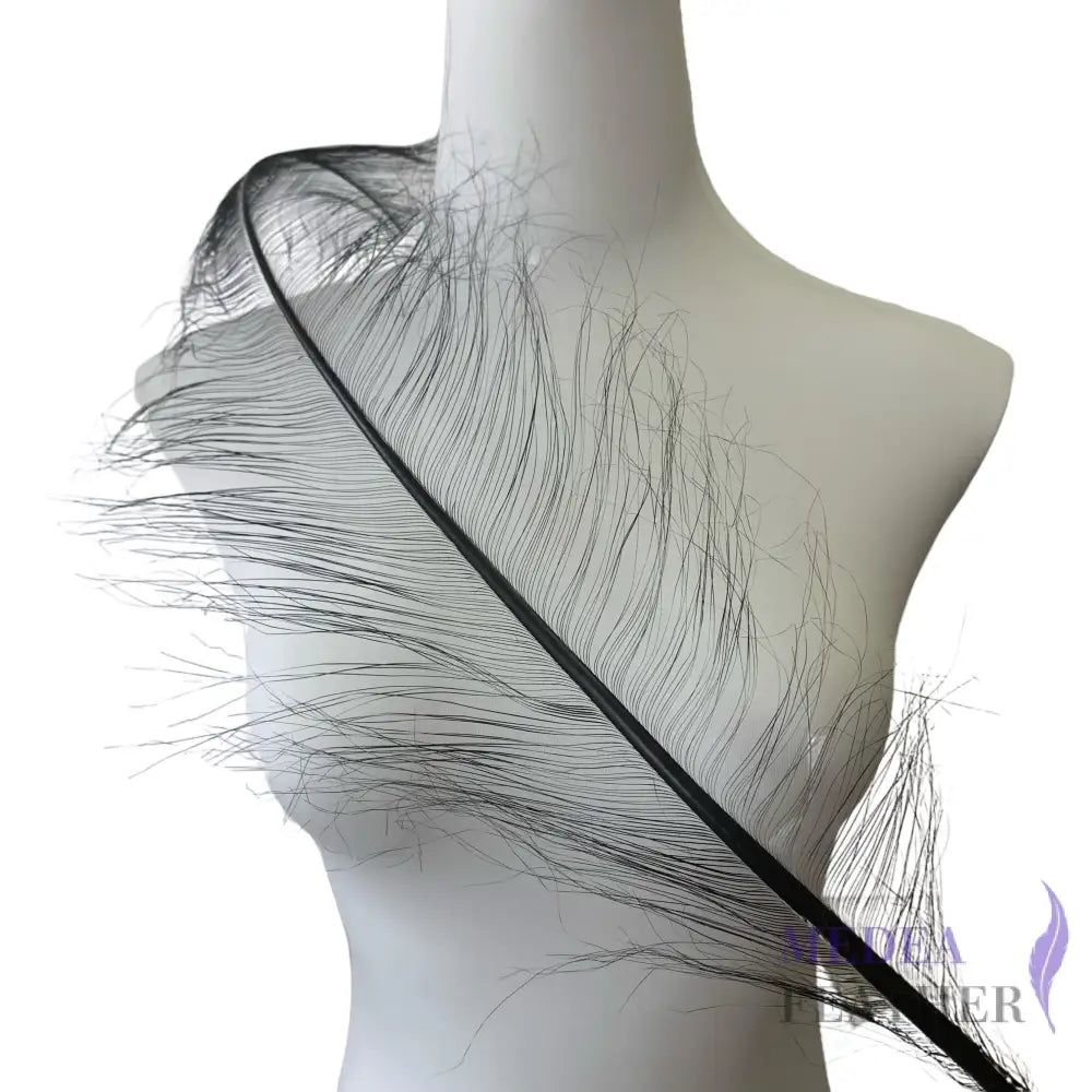 55cm Burnt Ostrich Feather Plume SF018