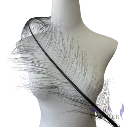 55cm Burnt Ostrich Feather Plume SF018