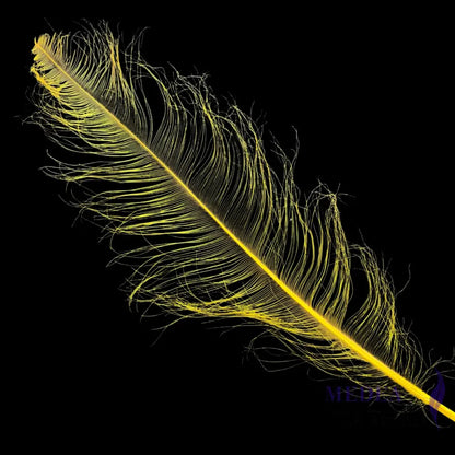 55cm Burnt Ostrich Feather Plume SF018 - Yellow