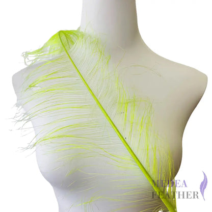 55cm Burnt Ostrich Feather Plume SF018