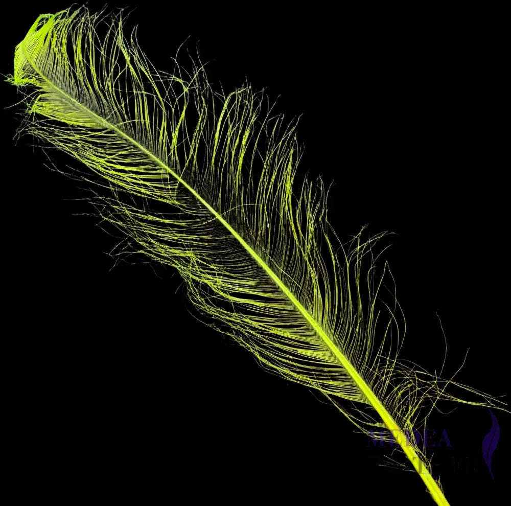 55cm Burnt Ostrich Feather Plume SF018 - emerald