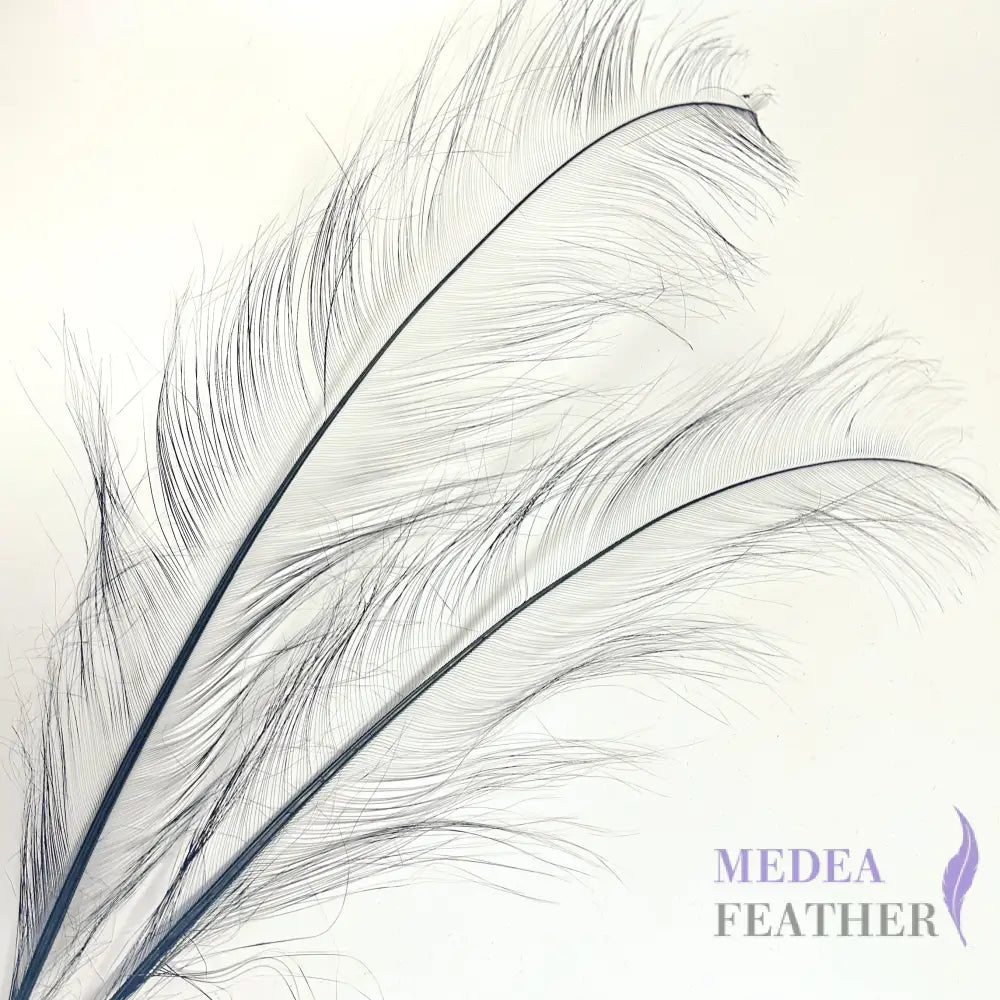 55cm Burnt Ostrich Feather Plume SF018 - Black (1 pc)