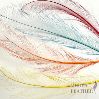 55cm Burnt Ostrich Feather Plume SF018 - Rainbow bundle (4 pcs)