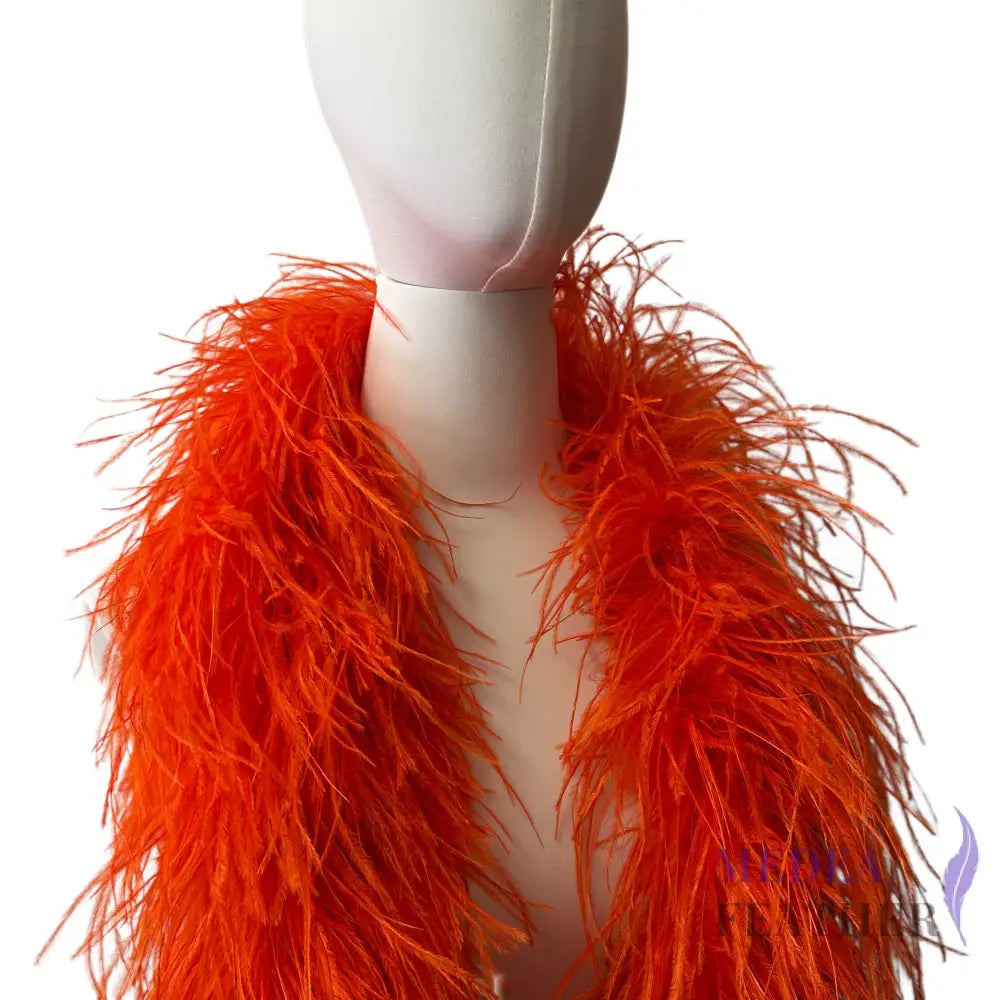 6 Ply Ostrich Feather Fringe Feather Boa (2 yards) FB02 - Custom - Please add text below