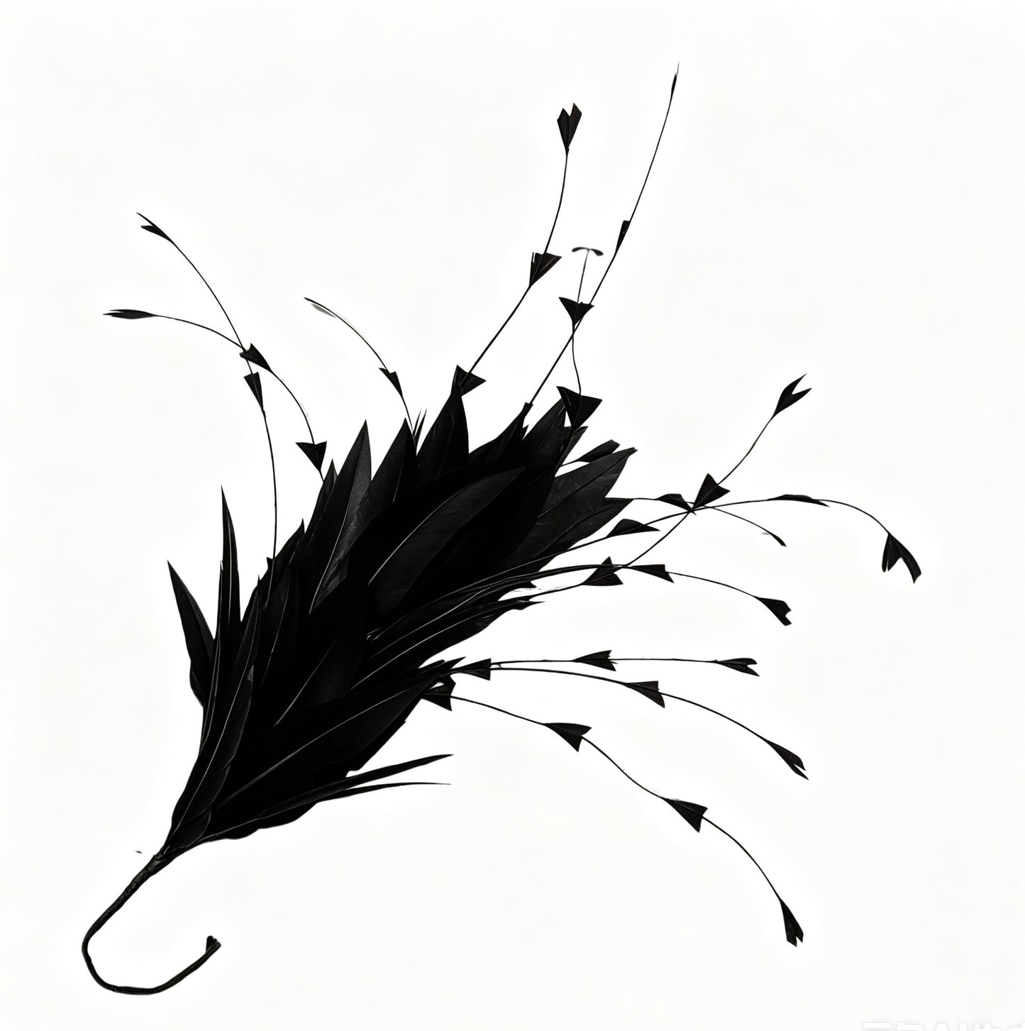 Goose and Long Trimmed Coque Feather Mount FM514