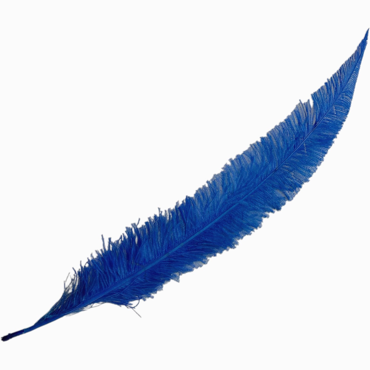 Long Clipped Ostrich Feather Plume 55-60cm