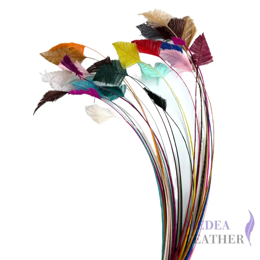 65cm Extra Long Trimmed Ostrich Feather Quill-Pack of 3