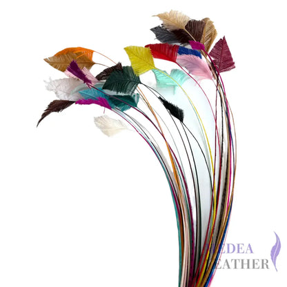 65cm Extra Long Trimmed Ostrich Feather Quill-Pack of 3