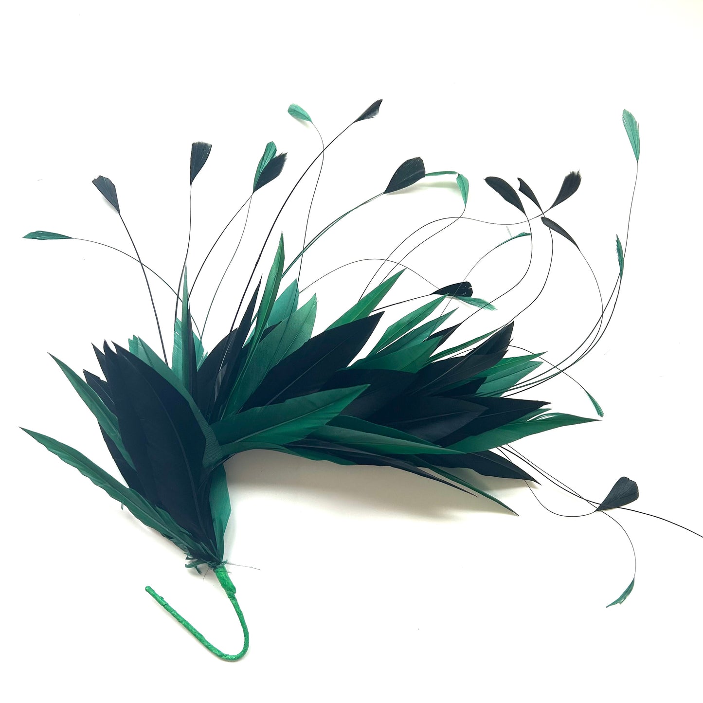 Goose and Coque Feather Mount FM304