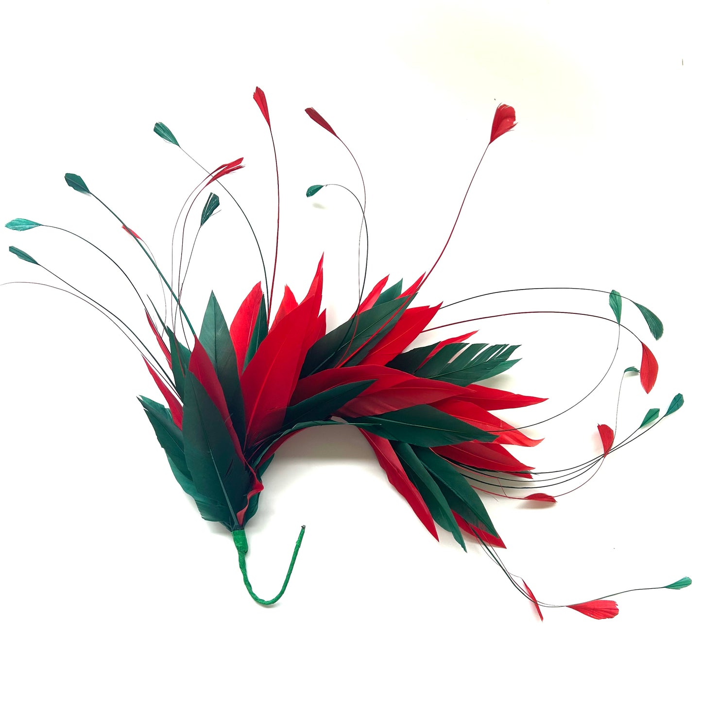 Goose and Coque Feather Mount FM304