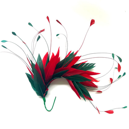 Goose and Coque Feather Mount FM304