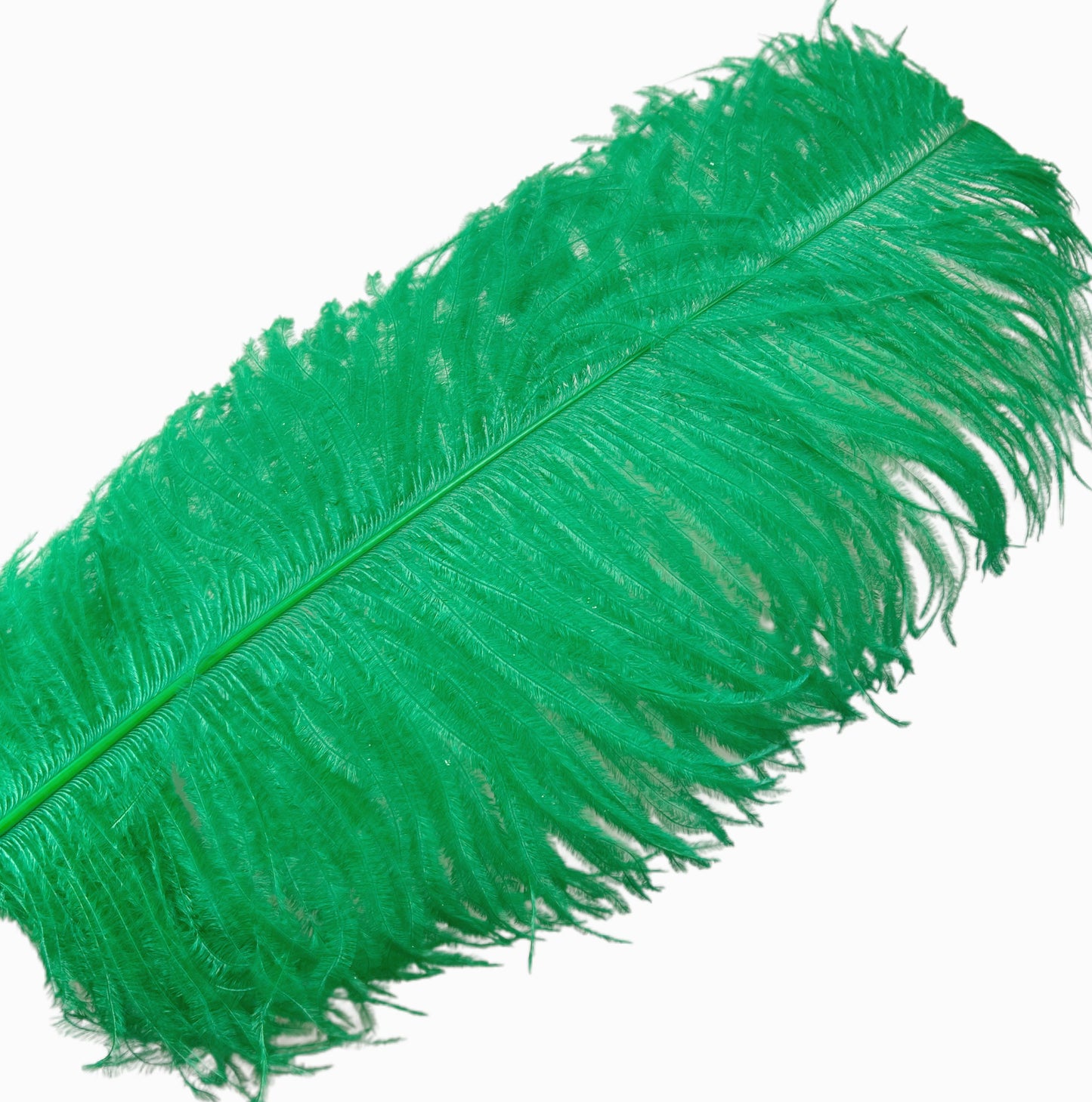 Ostrich Feather Plume 55-60cm