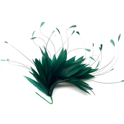 Goose and Coque Feather Mount FM304