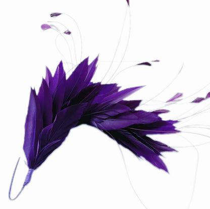 Goose and Coque Feather Mount FM304