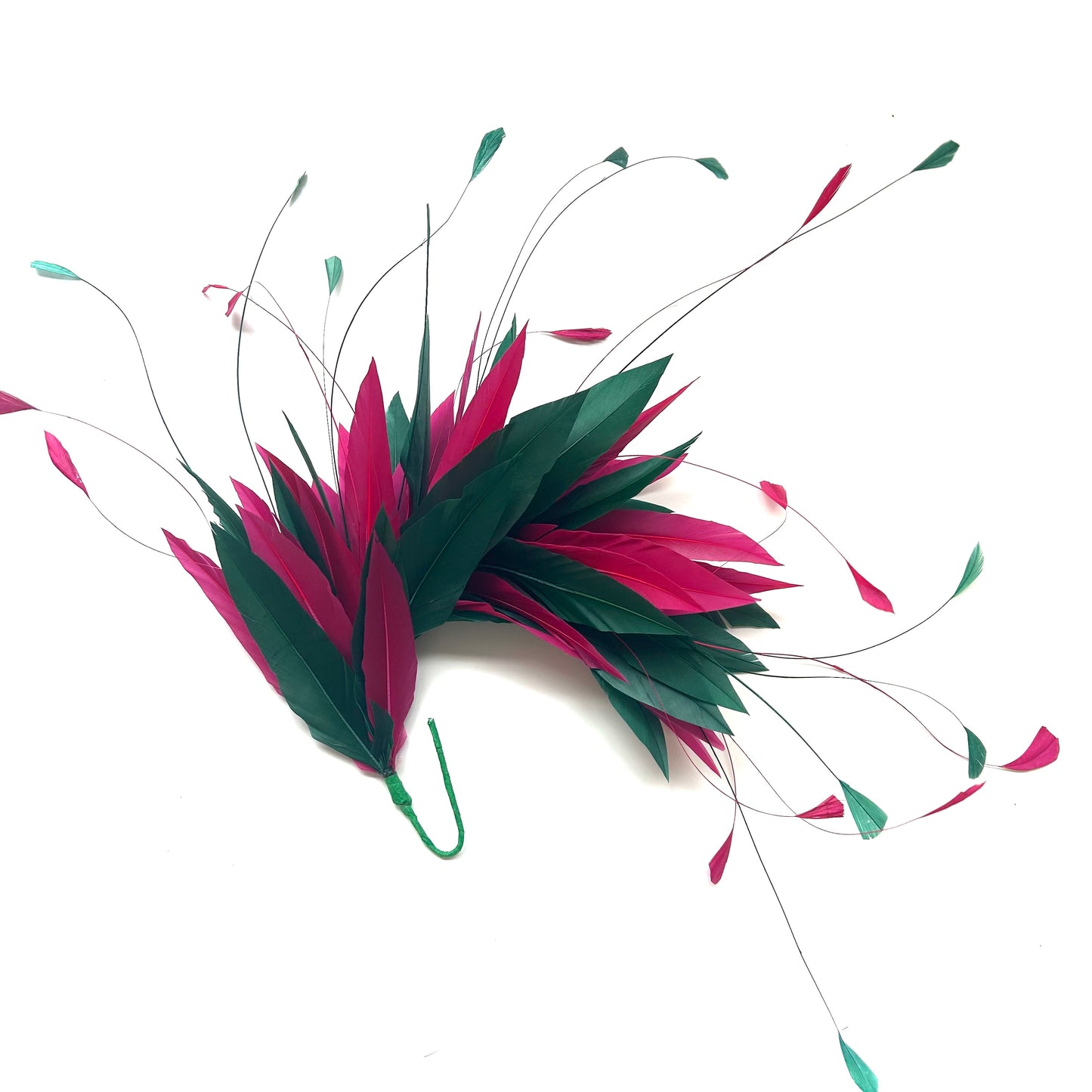 Goose and Coque Feather Mount FM304