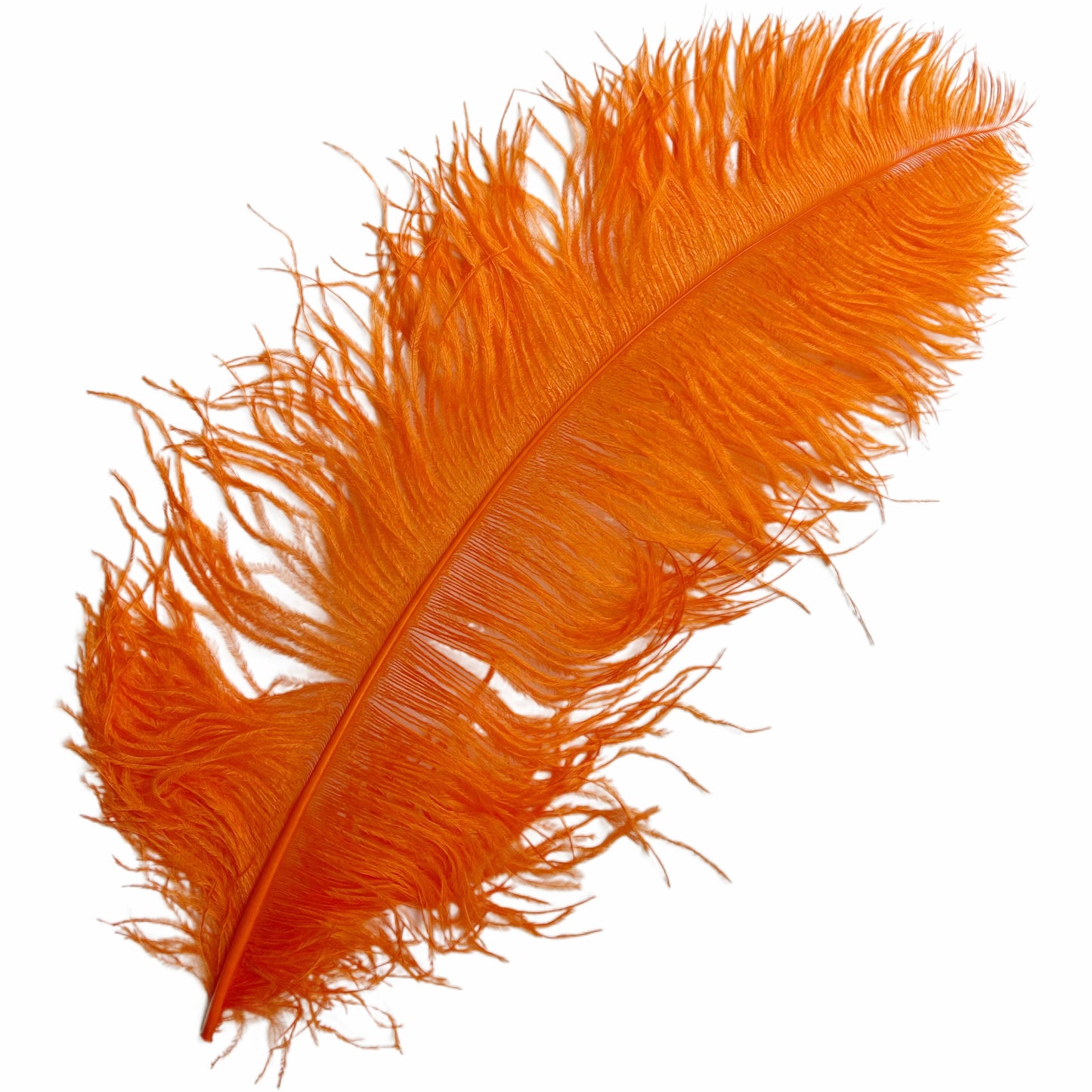 Ostrich Feather Plume 55-60cm