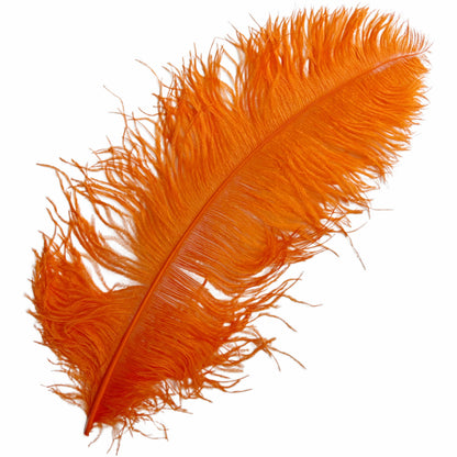 Ostrich Feather Plume 55-60cm