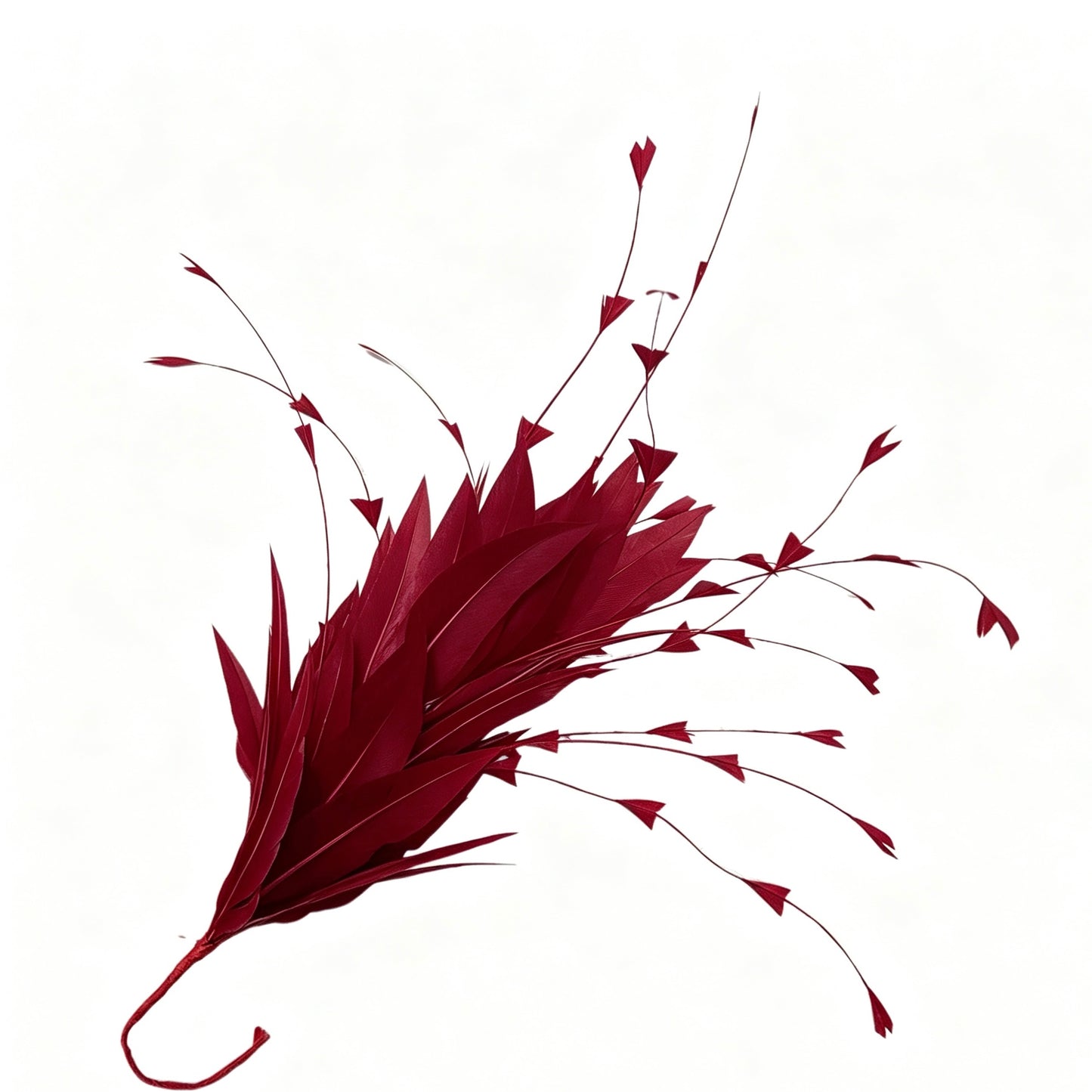 Goose and Long Trimmed Coque Feather Mount FM514