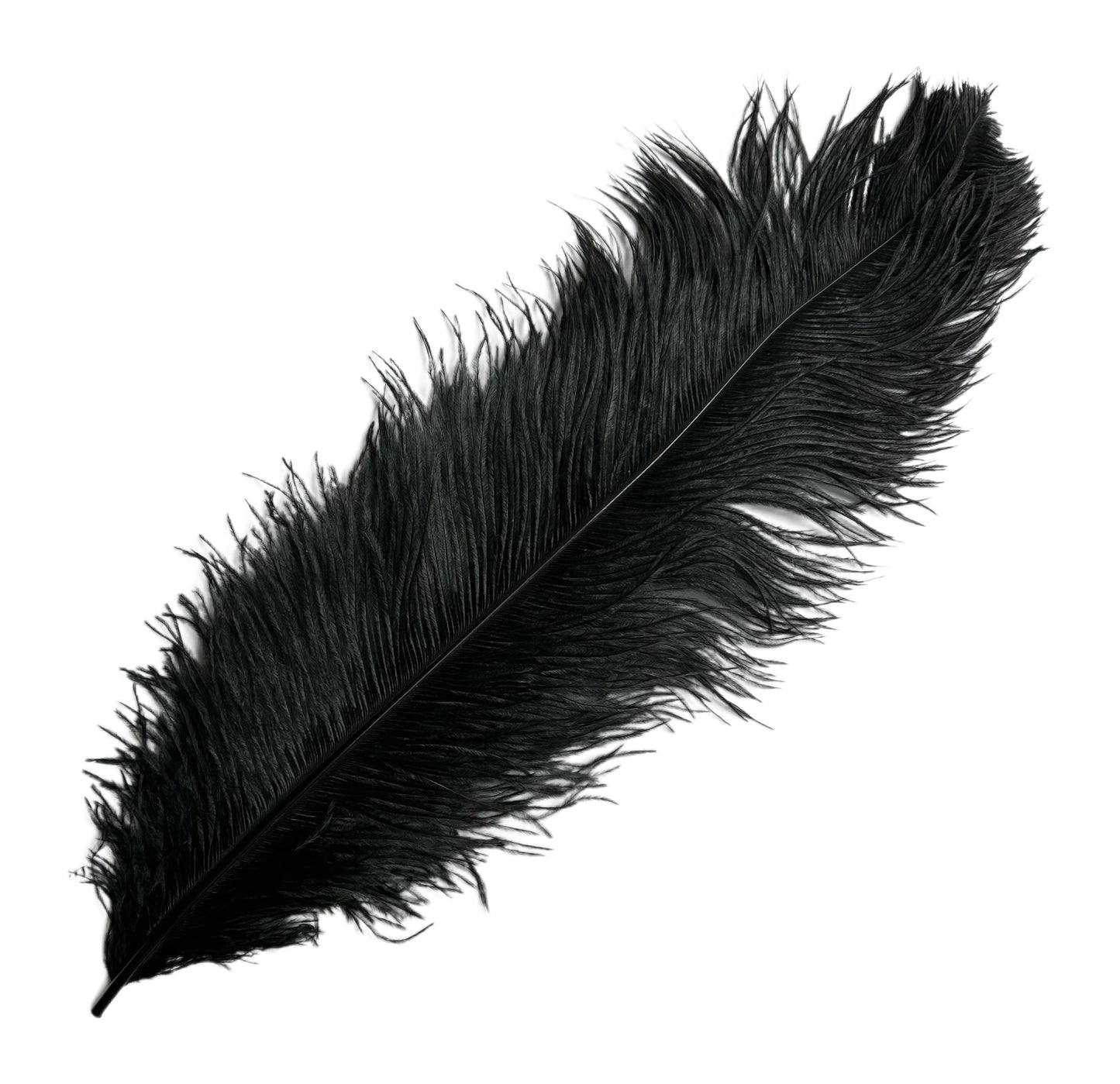 Ostrich Feather Plume 55-60cm