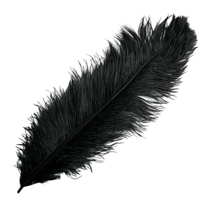 Ostrich Feather Plume 55-60cm