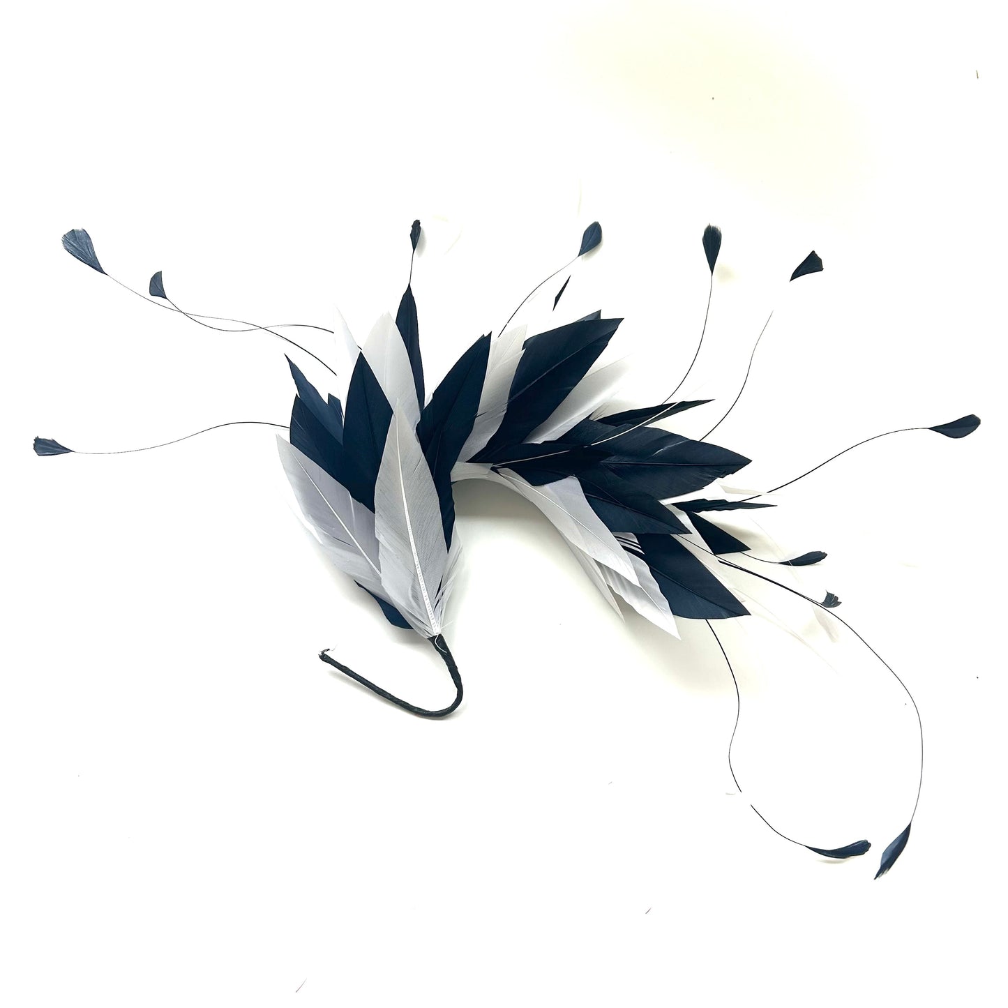 Goose and Coque Feather Mount FM304