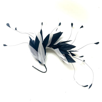 Goose and Coque Feather Mount FM304