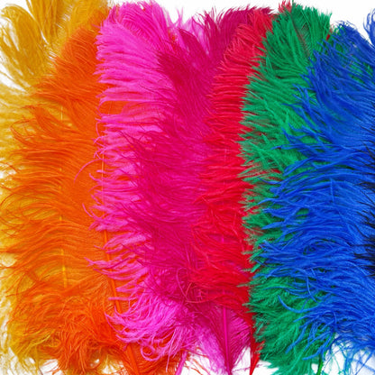 Ostrich Feather Plume 55-60cm