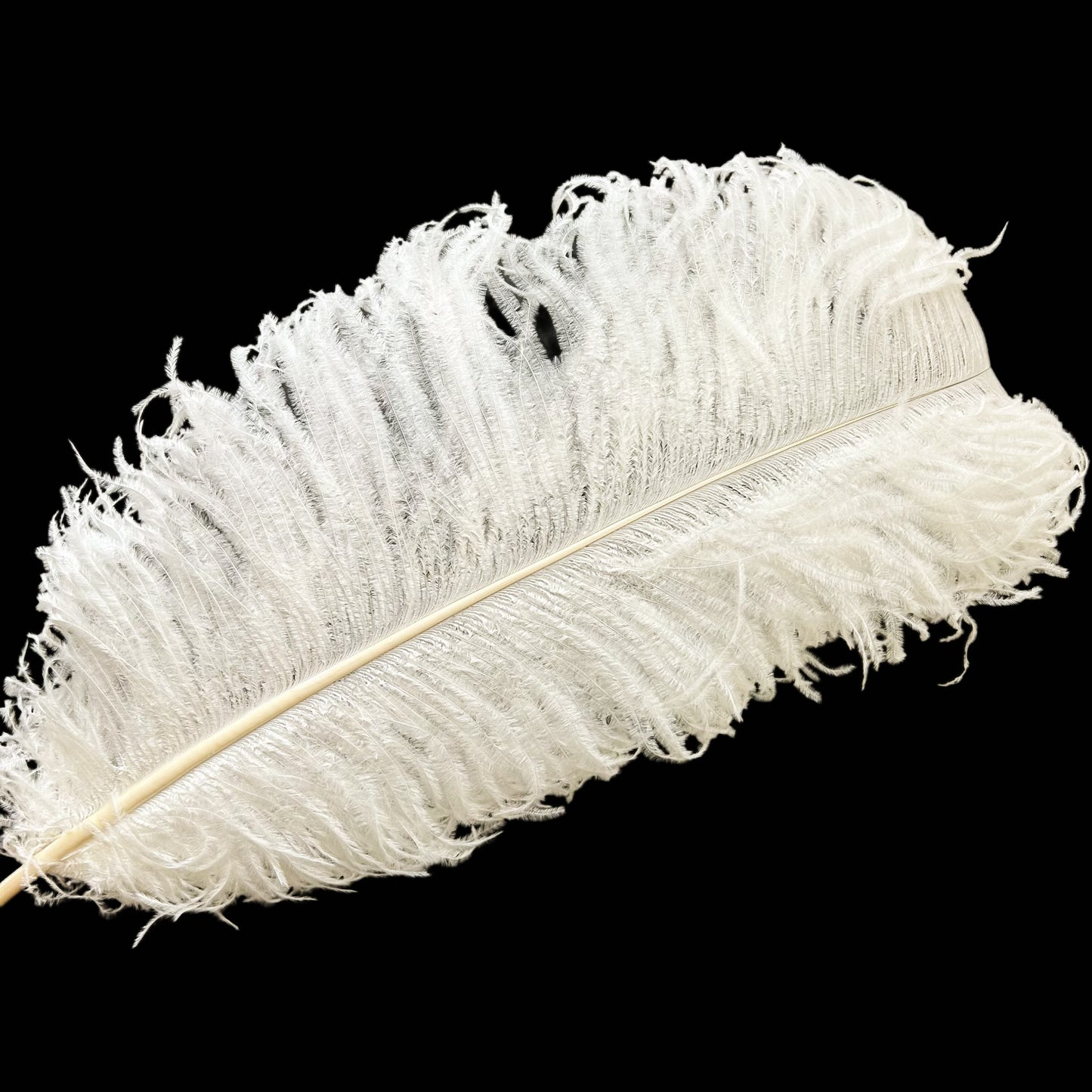 Ostrich Feather Plume 55-60cm