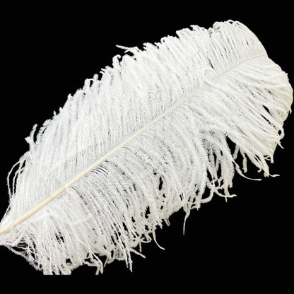Ostrich Feather Plume 55-60cm