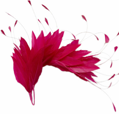 Goose and Coque Feather Mount FM304
