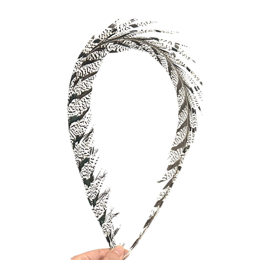 1 Piece Lady Amherst Pheasant Tail Feather (80-90cm)