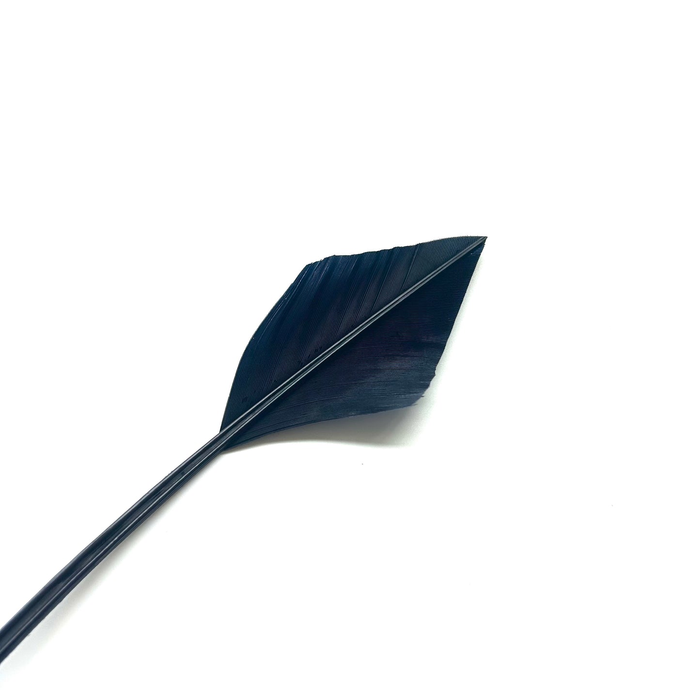 Arrowhead Turkey Quill Feather