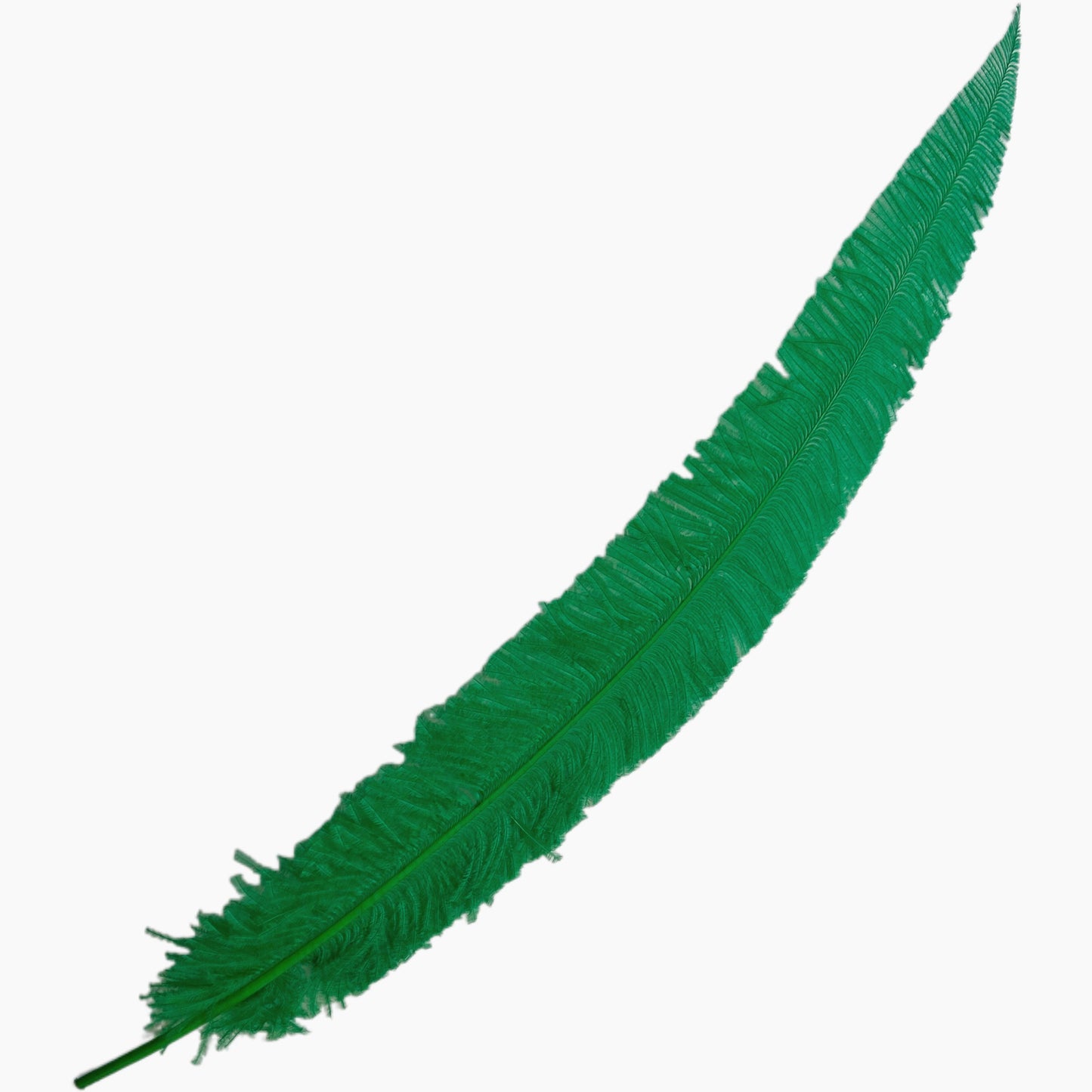 Long Clipped Ostrich Feather Plume 55-60cm