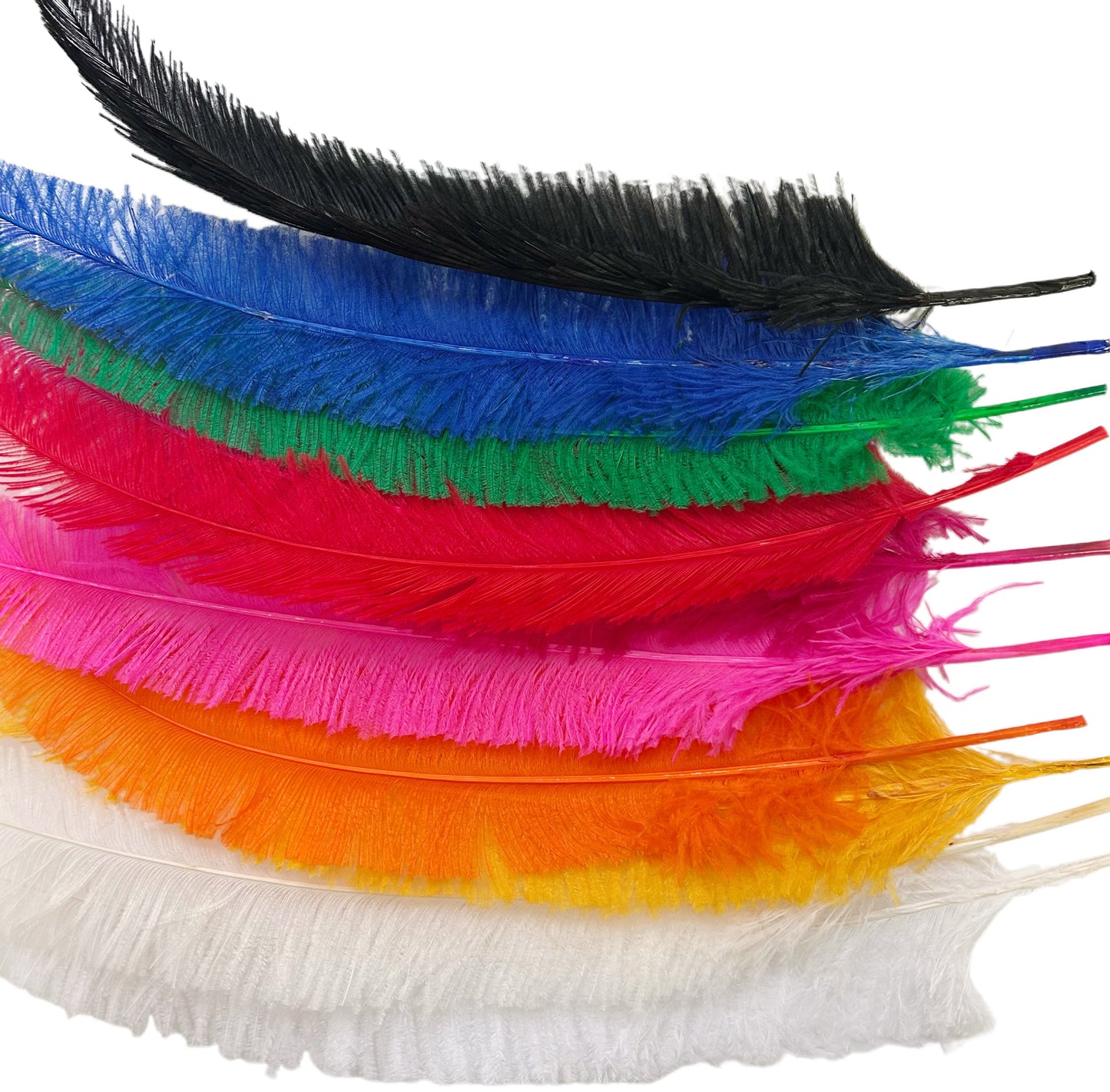 Long Clipped Ostrich Feather Plume 55-60cm